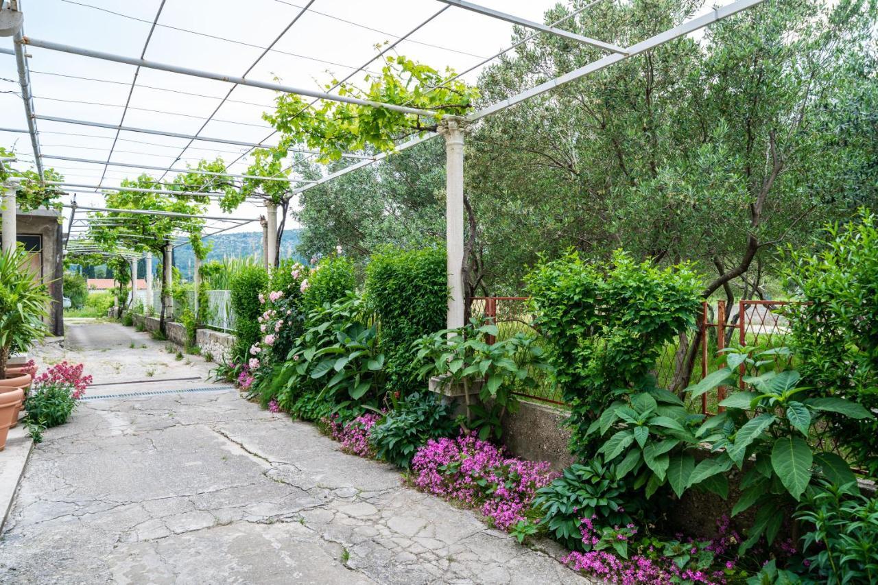 Francesca Guesthouse Mlini Zewnętrze zdjęcie